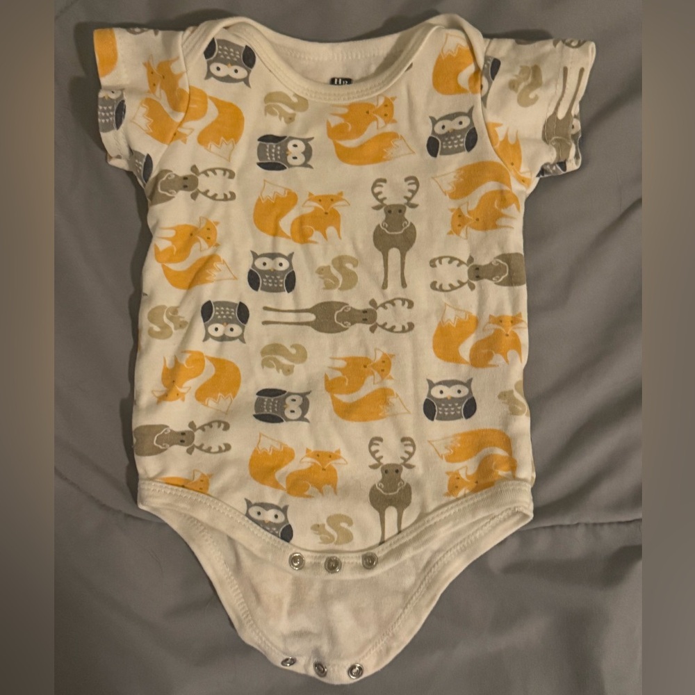 Great Condition! 3-6 Month Baby Onesies - Picture 2 of 9